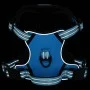 Arnés para perros con correa y collar ajustable azul XL by , Dog products - Ref: Foro24-4013396, Price: 24,18 €, Discount: %