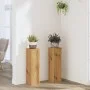 Pflanzenständer 2 Stück Eichenholz Artisian 17x17x60 cm von , Topfständer - Ref: Foro24-852941, Preis: 44,42 €, Rabatt: %