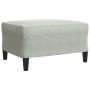 Sofagarnitur mit 4-teiligen Kissen aus hellgrauem Samtstoff. von , Sofas - Ref: Foro24-3278441, Preis: 642,09 €, Rabatt: %