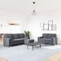 Dreiteiliges Sofaset mit dunkelgrauen Samtkissen. von , Sofas - Ref: Foro24-3278422, Preis: 519,25 €, Rabatt: %