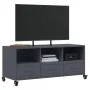 Mueble de TV acero gris antracita 100,5x39x43,5 cm de , Muebles TV - Ref: Foro24-846694, Precio: 86,90 €, Descuento: %