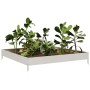 Edelstahl-Pflanzgefäß 100x100x18,5 cm von , Töpfe und Pflanzgefäße - Ref: Foro24-851014, Preis: 44,42 €, Rabatt: %