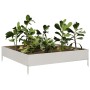 Jardinera de acero inoxidable 100x100x26 cm de , Maceteros y jardineras - Ref: Foro24-851021, Precio: 49,10 €, Descuento: %