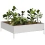 Jardinera de acero inoxidable 100x100x33,5 cm de , Maceteros y jardineras - Ref: Foro24-851028, Precio: 63,75 €, Descuento: %