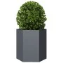 Hexagonal planters 2 units anthracite steel 46x40x45 cm by , Pots and planters - Ref: Foro24-851113, Price: 81,95 €, Discount: %
