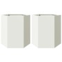 Jardineras hexagonales 2 uds acero blanco 46x40x45 cm de , Maceteros y jardineras - Ref: Foro24-851111, Precio: 70,76 €, Desc...