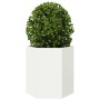 Hexagonal planters 2 units white steel 46x40x45 cm by , Pots and planters - Ref: Foro24-851111, Price: 70,76 €, Discount: %