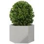 Sechseckiger Edelstahl-Pflanzkübel 69x60x45 cm von , Töpfe und Pflanzgefäße - Ref: Foro24-851126, Preis: 75,31 €, Rabatt: %