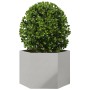 Sechseckiger Edelstahl-Pflanzkübel 69x60x45 cm von , Töpfe und Pflanzgefäße - Ref: Foro24-851126, Preis: 78,69 €, Rabatt: %