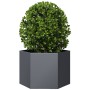 Hexagonal planter in anthracite grey steel, 69x60x45 cm by , Pots and planters - Ref: Foro24-851124, Price: 63,02 €, Discount: %
