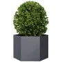 Hexagonal planter in anthracite grey steel, 69x60x45 cm by , Pots and planters - Ref: Foro24-851124, Price: 63,09 €, Discount: %