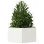 Jardinera hexagonal de acero blanco 104x90x45 cm de , Maceteros y jardineras - Ref: Foro24-851130, Precio: 72,76 €, Descuento: %