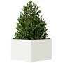 Sechseckiges Blumenbeet aus weißem Stahl, 104x90x45 cm. von , Töpfe und Pflanzgefäße - Ref: Foro24-851130, Preis: 75,64 €, Ra...