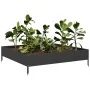 Arriate de acero negro 100x100x26 cm de , Maceteros y jardineras - Ref: Foro24-851017, Precio: 43,15 €, Descuento: %