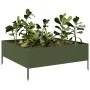 Stahlbeet in Olivgrün 100x100x25 cm von , Töpfe und Pflanzgefäße - Ref: Foro24-851034, Preis: 54,04 €, Rabatt: %