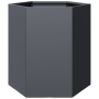 Jardinera hexagonal acero gris antracita 46x40x45 cm by , Pots and planters - Ref: Foro24-851112, Price: 50,06 €, Discount: %