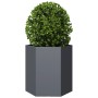 Jardinera hexagonal acero gris antracita 46x40x45 cm by , Pots and planters - Ref: Foro24-851112, Price: 50,06 €, Discount: %