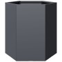 Jardinera hexagonal acero gris antracita 46x40x45 cm by , Pots and planters - Ref: Foro24-851112, Price: 50,06 €, Discount: %
