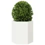 Jardinera hexagonal acero blanco 46x40x45 cm by , Pots and planters - Ref: Foro24-851110, Price: 49,09 €, Discount: %