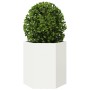 Sechseckiger Blumenkübel aus weißem Stahl, 46x40x45 cm. von , Töpfe und Pflanzgefäße - Ref: Foro24-851110, Preis: 50,06 €, Ra...