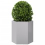 Jardineras hexagonales 2 uds acero inoxidable 46x40x45 cm by , Pots and planters - Ref: Foro24-851119, Price: 68,92 €, Discou...