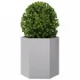 Sechseckige Pflanzgefäße, 2 Stück, Edelstahl, 46x40x45 cm. von , Töpfe und Pflanzgefäße - Ref: Foro24-851119, Preis: 66,28 €,...