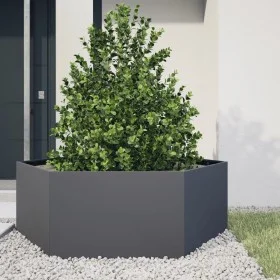 Jardinera hexagonal acero gris antracita 138x120x45 cm by , Pots and planters - Ref: Foro24-851138, Price: 92,78 €, Discount: %