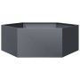 Jardinera hexagonal acero gris antracita 138x120x45 cm de , Maceteros y jardineras - Ref: Foro24-851138, Precio: 100,01 €, De...