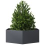 Jardinera hexagonal acero gris antracita 138x120x45 cm de , Maceteros y jardineras - Ref: Foro24-851138, Precio: 100,01 €, De...