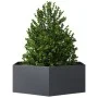 Jardinera hexagonal acero gris antracita 138x120x45 cm de , Maceteros y jardineras - Ref: Foro24-851138, Precio: 92,76 €, Des...