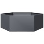 Jardinera hexagonal acero gris antracita 138x120x45 cm de , Maceteros y jardineras - Ref: Foro24-851138, Precio: 100,01 €, De...
