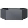 Jardinera hexagonal acero gris antracita 138x120x45 cm de , Maceteros y jardineras - Ref: Foro24-851138, Precio: 92,76 €, Des...