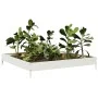 Arriate de acero blanco 100x100x18,5 cm de , Maceteros y jardineras - Ref: Foro24-851011, Precio: 34,67 €, Descuento: %