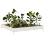 Beet aus weißem Stahl 100x100x18,5 cm von , Töpfe und Pflanzgefäße - Ref: Foro24-851011, Preis: 35,25 €, Rabatt: %
