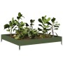 Stahlbeet in Olivgrün 100x100x18,5 cm von , Töpfe und Pflanzgefäße - Ref: Foro24-851013, Preis: 37,20 €, Rabatt: %