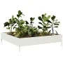 Beet aus weißem Stahl 100x100x26 cm von , Töpfe und Pflanzgefäße - Ref: Foro24-851018, Preis: 40,67 €, Rabatt: %