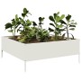 Weißes Stahlbeet 100x100x25 cm von , Töpfe und Pflanzgefäße - Ref: Foro24-851032, Preis: 56,92 €, Rabatt: %
