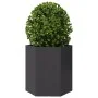 Jardineras hexagonales 2 uds acero negra 46x40x45 cm by , Pots and planters - Ref: Foro24-851109, Price: 86,25 €, Discount: %