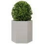 Jardinera hexagonal acero inoxidable 46x40x45 cm by , Pots and planters - Ref: Foro24-851116, Price: 57,77 €, Discount: %
