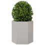 Sechseckiger Pflanzkübel aus Edelstahl 46x40x45 cm von , Töpfe und Pflanzgefäße - Ref: Foro24-851116, Preis: 50,51 €, Rabatt: %