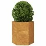 Jardineras hexagonales 46x40x45 cm acero desgastado by , Pots and planters - Ref: Foro24-851121, Price: 76,70 €, Discount: %