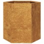 Jardineras hexagonales 46x40x45 cm acero desgastado by , Pots and planters - Ref: Foro24-851121, Price: 67,02 €, Discount: %