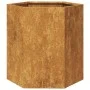 Jardineras hexagonales 46x40x45 cm acero desgastado by , Pots and planters - Ref: Foro24-851121, Price: 76,70 €, Discount: %