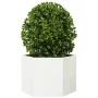 Sechseckiger Blumenkübel aus weißem Stahl, 69x60x45 cm. von , Töpfe und Pflanzgefäße - Ref: Foro24-851123, Preis: 57,17 €, Ra...