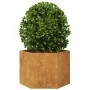 Jardinera hexagonal 69x60x45 cm acero desgastado by , Pots and planters - Ref: Foro24-851128, Price: 64,52 €, Discount: %
