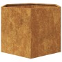 Sechseckiger Pflanzkübel 69x60x45 cm aus abgenutztem Stahl von , Töpfe und Pflanzgefäße - Ref: Foro24-851128, Preis: 68,76 €,...