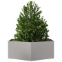 Sechseckiges Pflanzgefäß aus Edelstahl, 138x120x45 cm. von , Töpfe und Pflanzgefäße - Ref: Foro24-851140, Preis: 145,70 €, Ra...