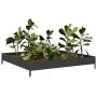 Arriate de acero negro 100x100x18,5 cm de , Maceteros y jardineras - Ref: Foro24-851010, Precio: 41,31 €, Descuento: %