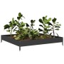 Schwarzes Stahlbeet 100x100x18,5 cm von , Töpfe und Pflanzgefäße - Ref: Foro24-851010, Preis: 42,17 €, Rabatt: %