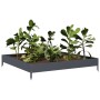Anthrazitgraues Stahlbeet 100x100x18,5 cm von , Töpfe und Pflanzgefäße - Ref: Foro24-851012, Preis: 38,42 €, Rabatt: %